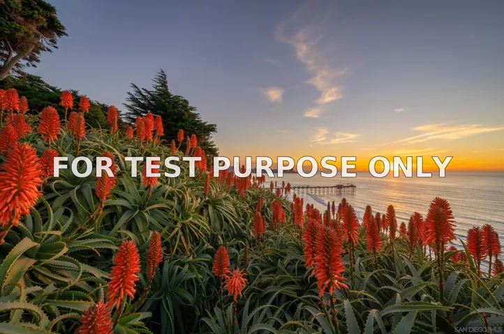 Demo/Test Data 8511 Avenida de las Ondas, La Jolla, CA 92037