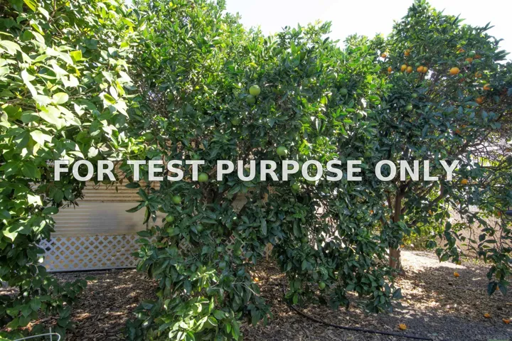Demo/Test Data 1401 El Norte Parkway Unit 76, San Marcos, CA 92069