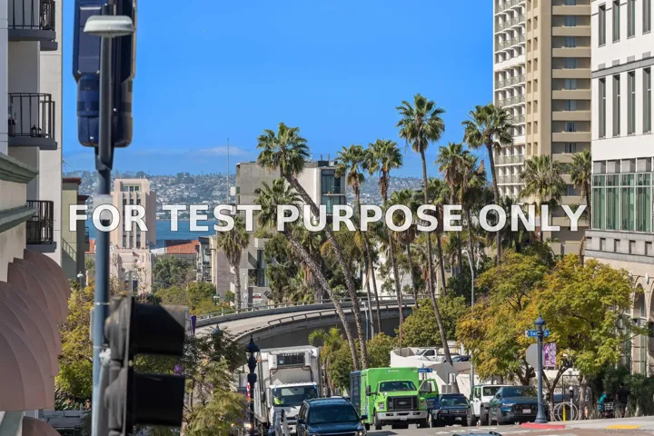 Demo/Test Data 1551 4th Ave Unit 303, San Diego, CA 92101