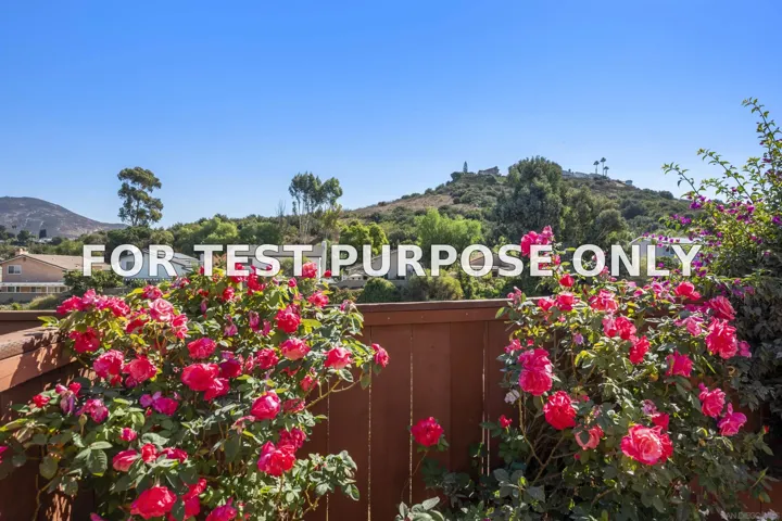 Demo/Test Data 7917 Mission Manzana, San Diego, CA 92120
