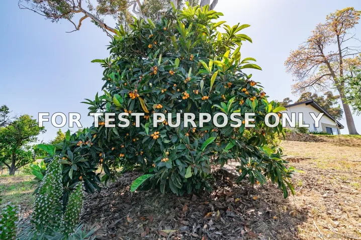 Demo/Test Data 4325 Citrus Ln, Fallbrook, CA 92028