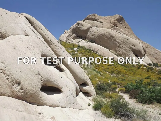 Demo/Test Data 0 Caughlin Rd Unit 0, Phelan, CA 92371