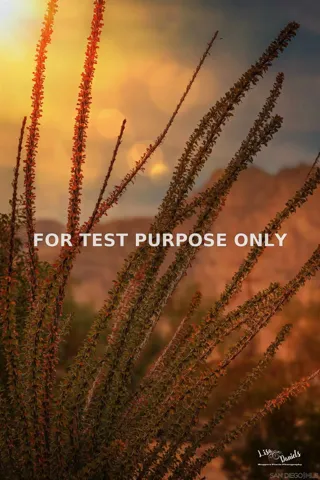 Demo/Test Data Yaqui Pass Rd Unit 0, Borrego Springs, CA 92004
