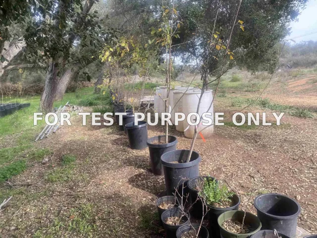 Demo/Test Data 9.03 acres on Lilac Rd Unit ., Valley Center, CA 92082