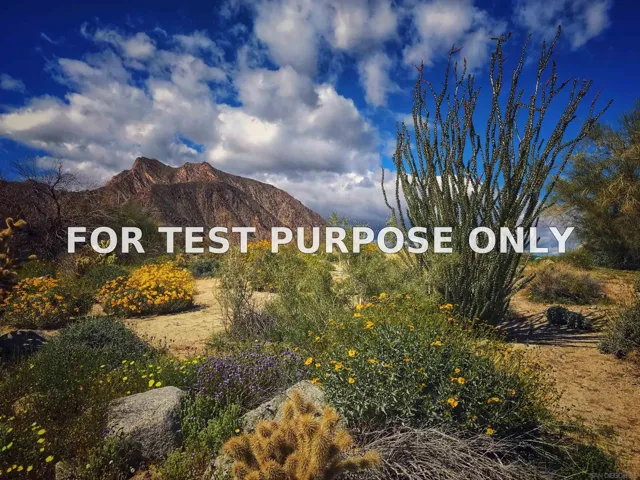 Demo/Test Data 0 Palm Canyon Dr. Unit 0, Borrego Springs, CA 92004