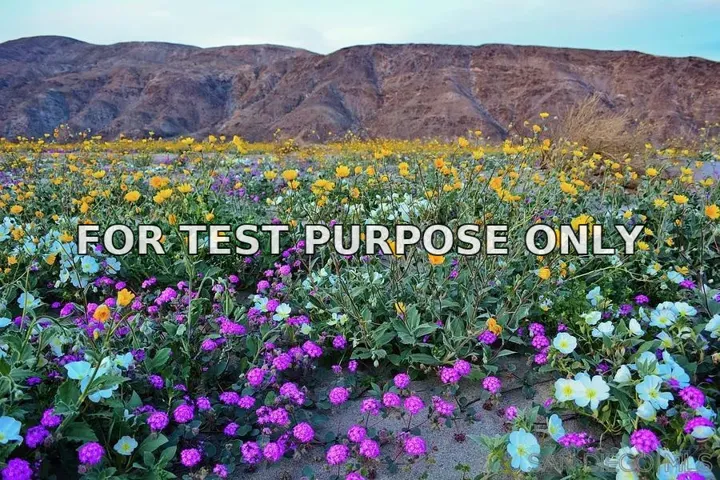 Demo/Test Data 0 Palm Canyon Dr. Unit 0, Borrego Springs, CA 92004