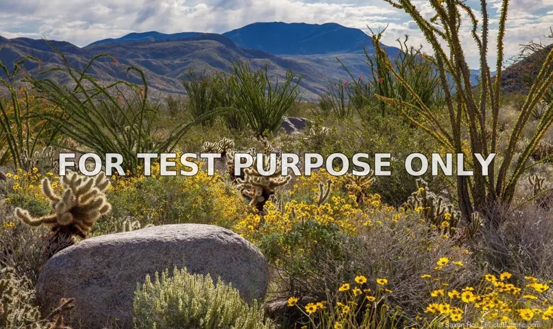 Demo/Test Data 0 Palm Canyon Dr. Unit 0, Borrego Springs, CA 92004