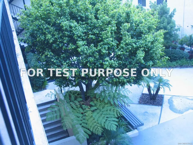 Demo/Test Data 1650 8th Ave Unit 316, San Diego, CA 92101