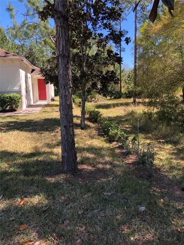 2301 Avellino Ave, St Cloud, FL 34771