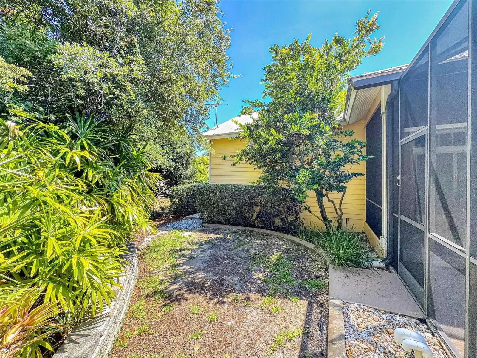 North side yard