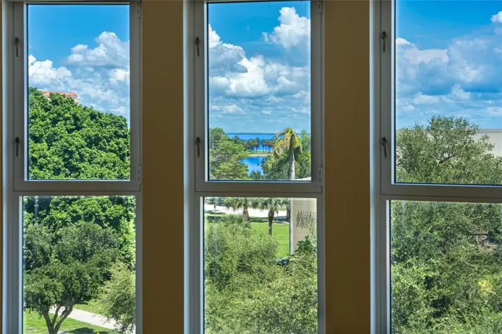View from the Living Room