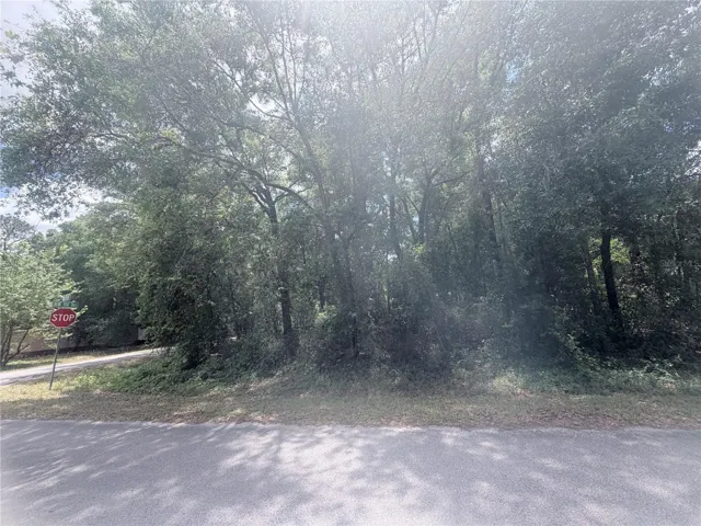 Tbd Nw 20th St, Ocala, FL 34482