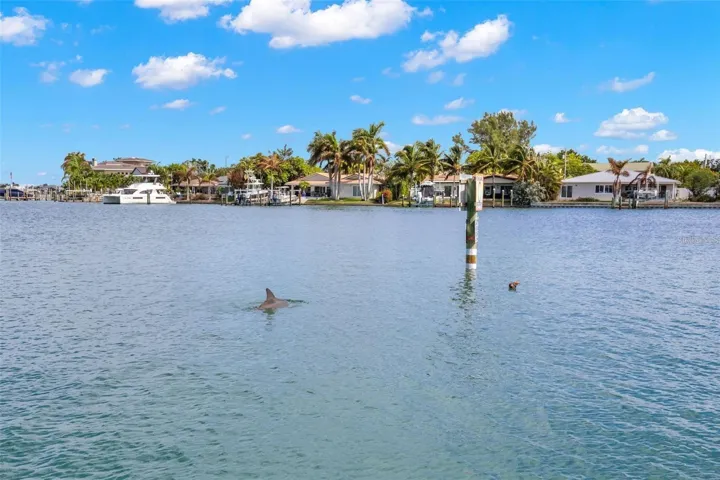 9825 Harrell Ave #404, Treasure Island, FL 33706