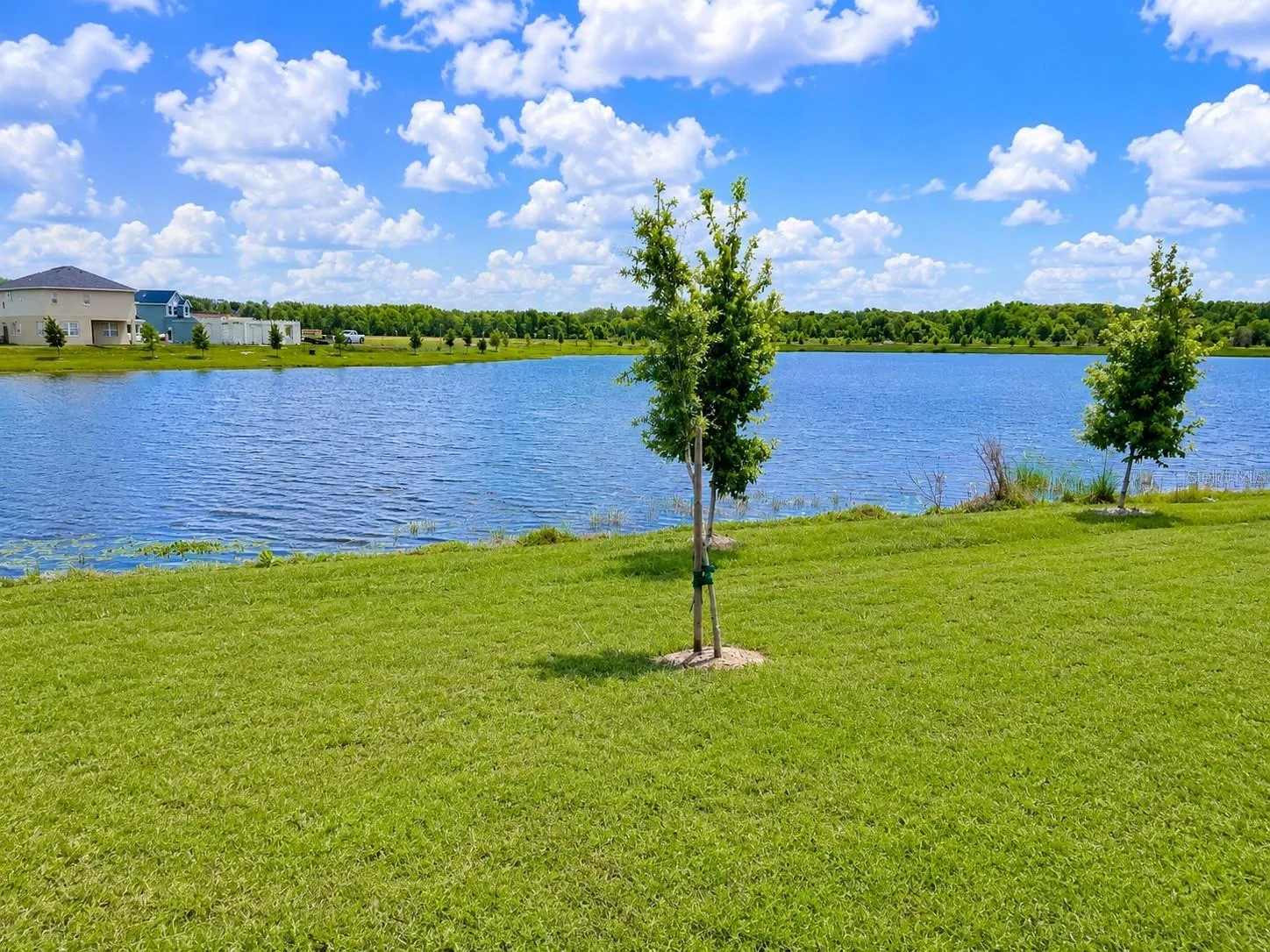 Lake View from Property