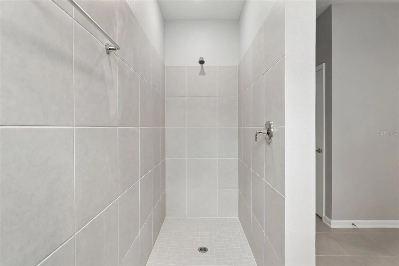 Primary Walk-In Shower