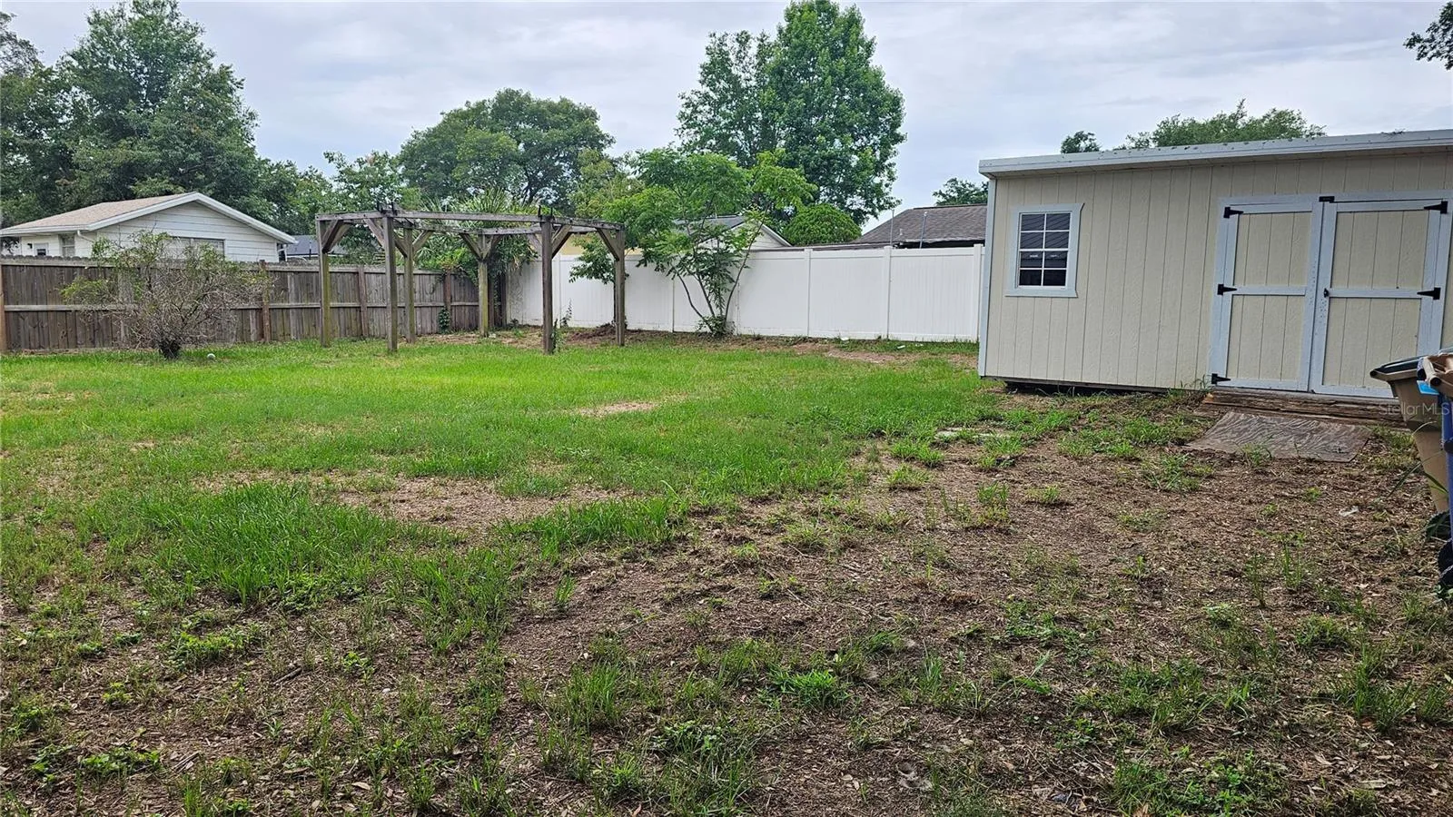 Back yard