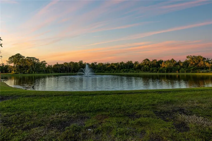682 Bottlebrush Way, Tarpon Springs, FL 34688