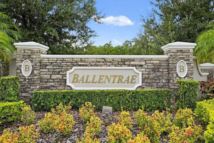 12433 Ballentrae Forest Dr, Riverview, FL 33579