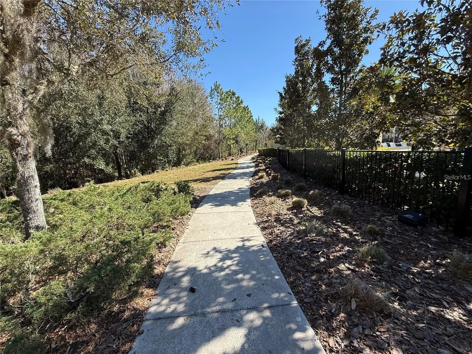Walking Trail