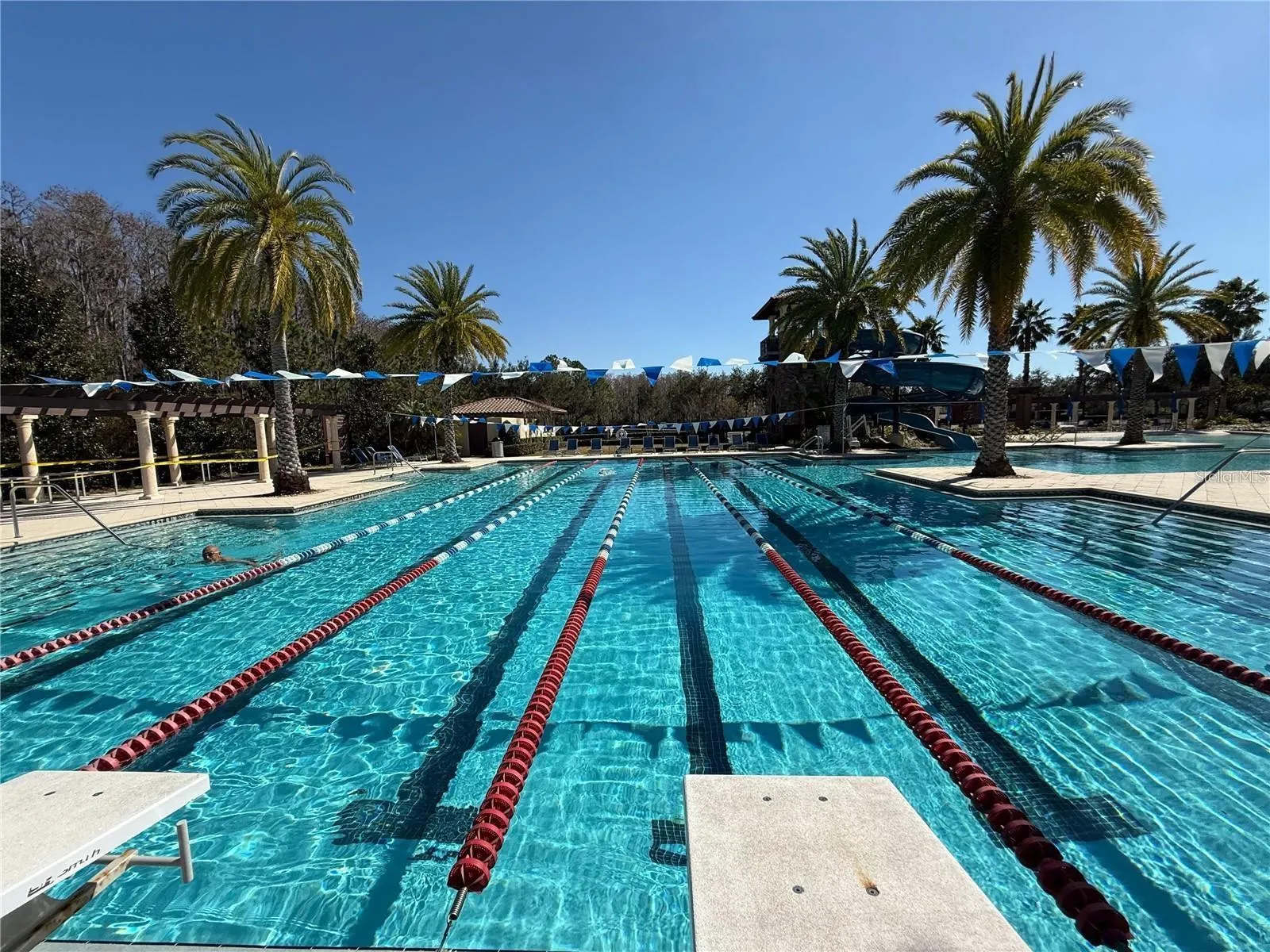 Lap Pool