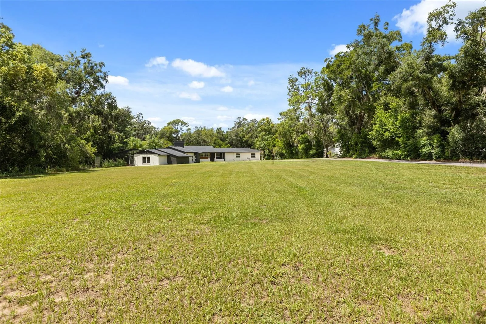 Front yard