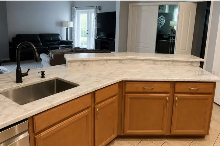 6210 Kiteridge Dr, Lithia, FL 33547