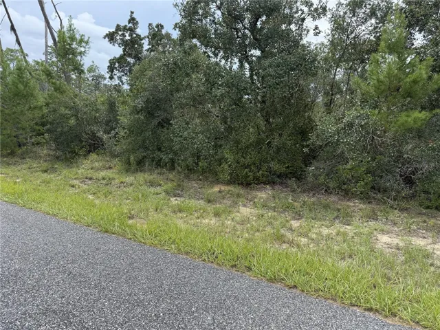 4282 W Thrush Dr, Citrus Springs, FL 34433