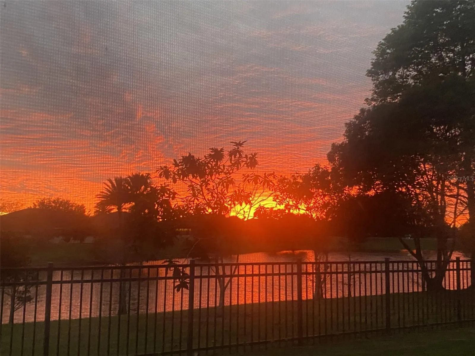 Sunset View
