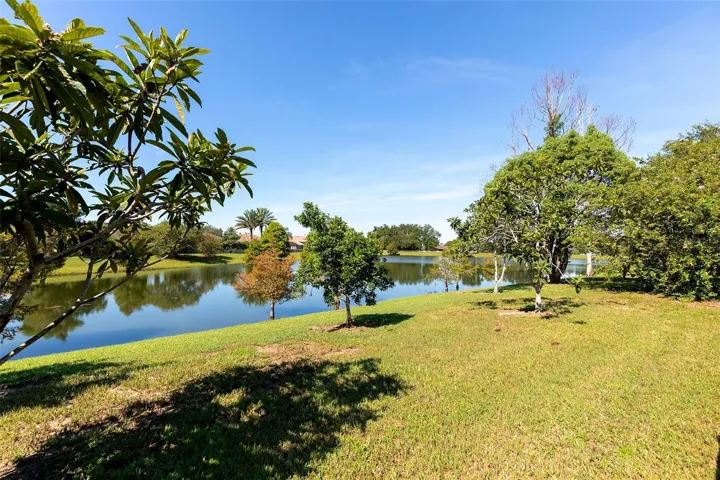 Backyard with Pond View