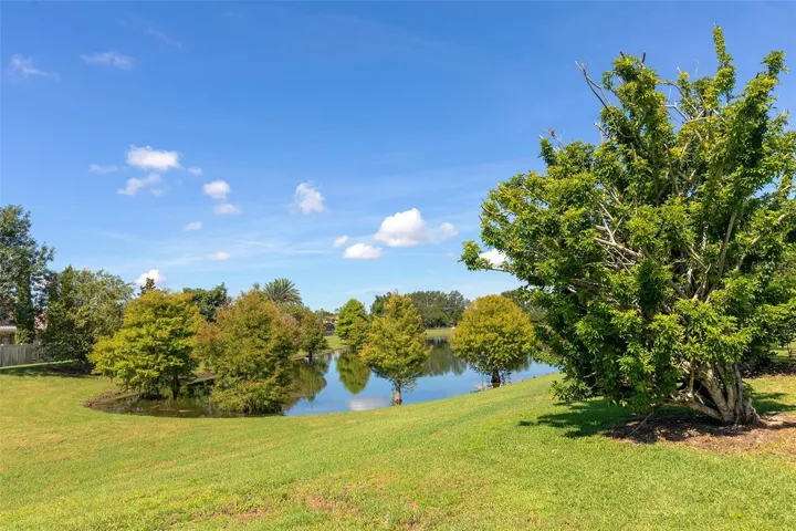 Backyard with Pond View