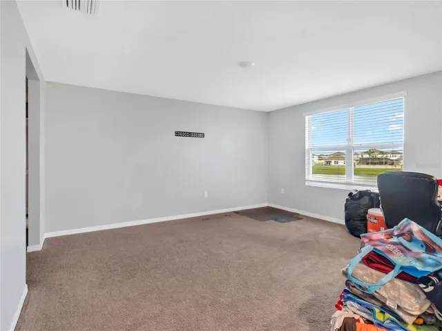 16636 Windmill Forge Pass, Wimauma, FL 33598