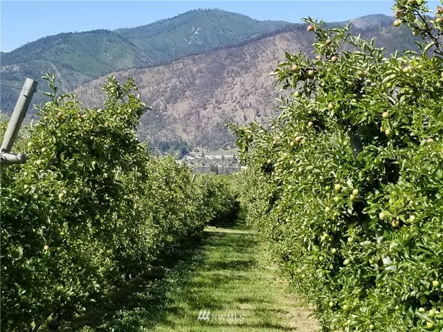 The orchard at 975 Washington St has beautiful Lake Chelan & mountain views