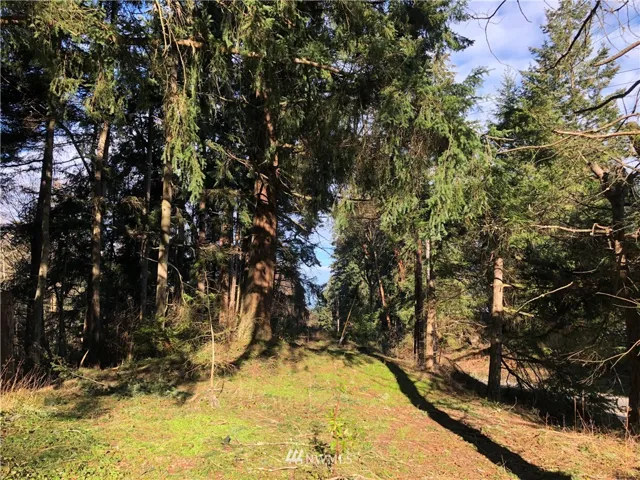 Partially cleared and ready for your plans and ideas.