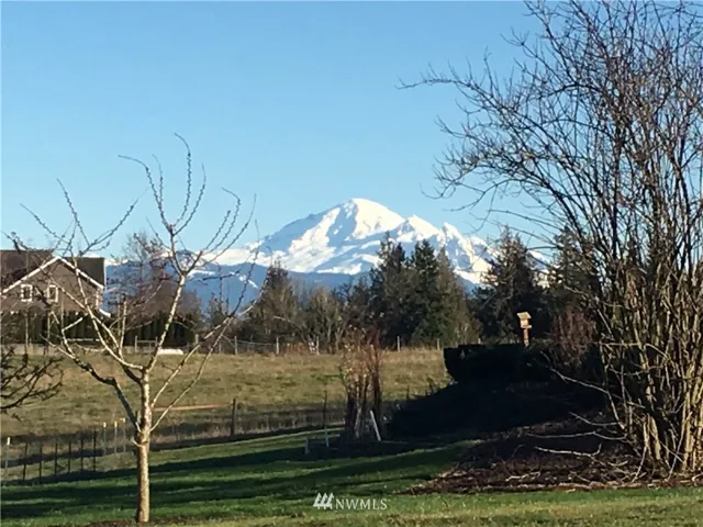 Stunning view of Mt Baker from the property.