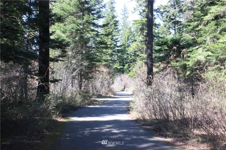 one of the many beloved bikes trails that run throughout Suncadia. This one is right behind listed site.