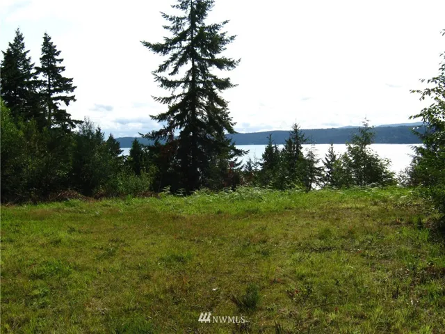 Lot 3 could be an Incredible Home, RV or Camp spot!  Amazing Hood Canal View possibilities!  This parcel has Water/Power available.