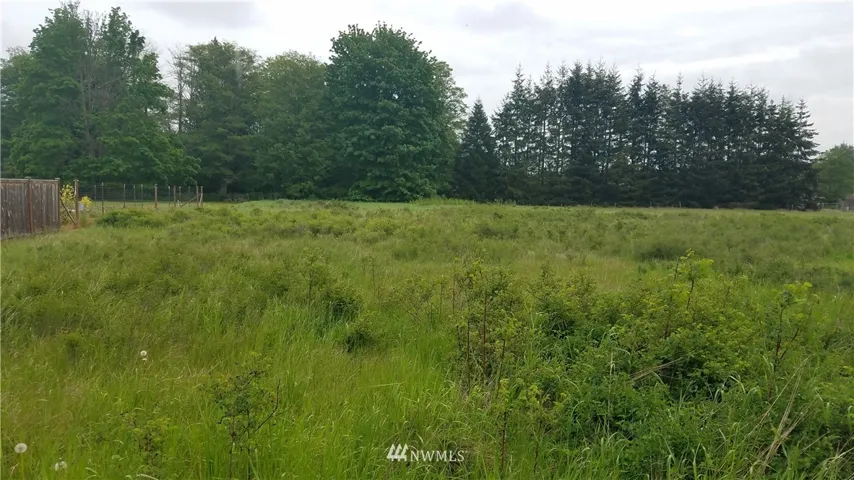 Nice level lot