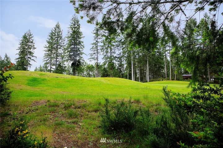 Gold course view from the back of the property