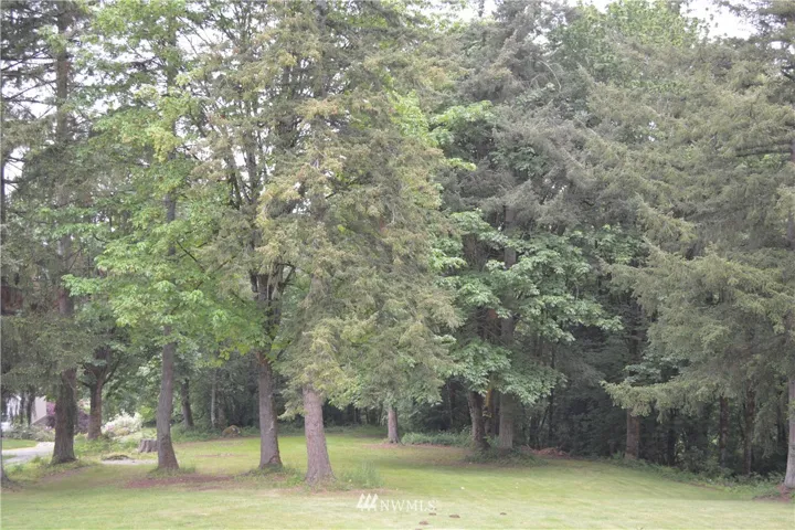 Nice blend of trees and clearing, this is the front of the parcel which extends back 3 1/2 acres