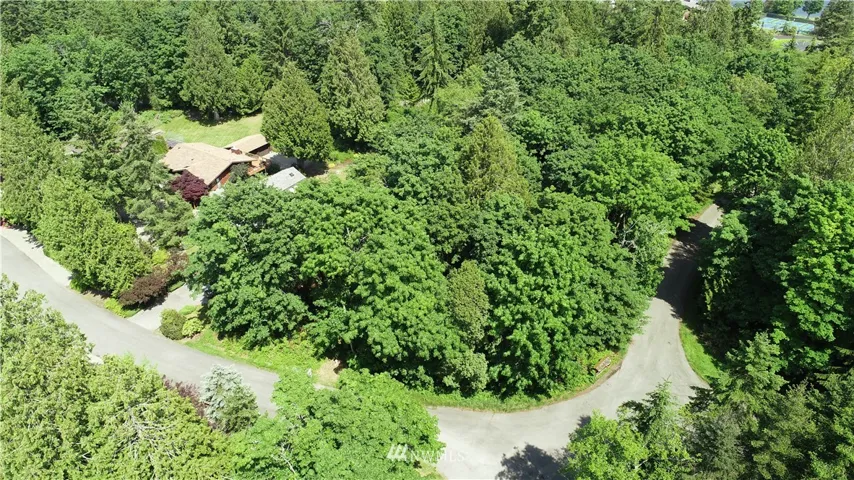 Overhead shot. (Corner of Puget Loop and Phinney Lane.)