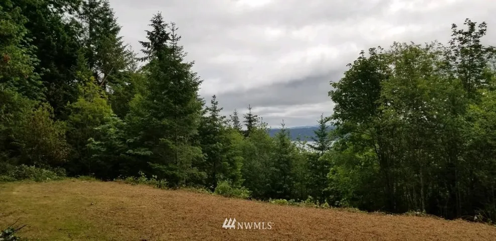 View of the Hood Canal from the building site.  Limb up some of the Trees to Open up the VIEW!  A Very Beautiful and Private 1.20 Acre Parcel!  Water and Power are Available. Shared Well. PUD#1