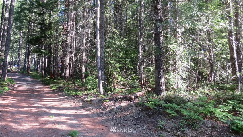 Beautifully forested, level lot-ready for you to bring your plans for your dream home!
