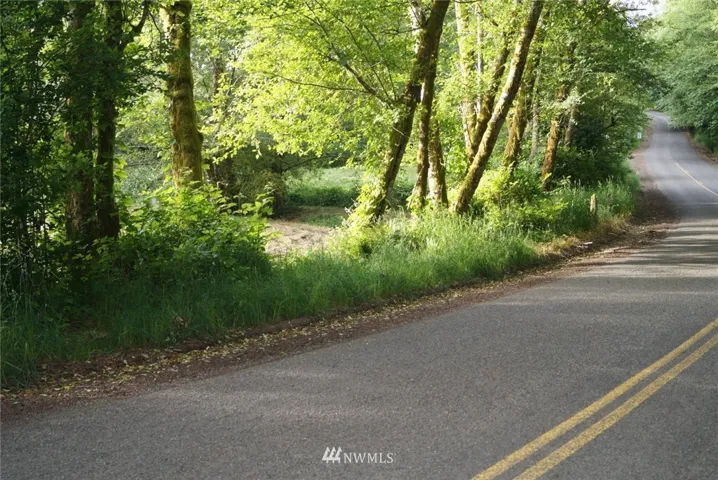View along the West Satsop Rd.