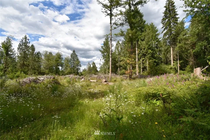 Lot from gravel road. Tree line in back is approximate area of Otter Creek.