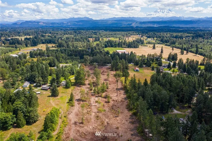 Amazing 10 acres of dry level land with MT Rainier View!