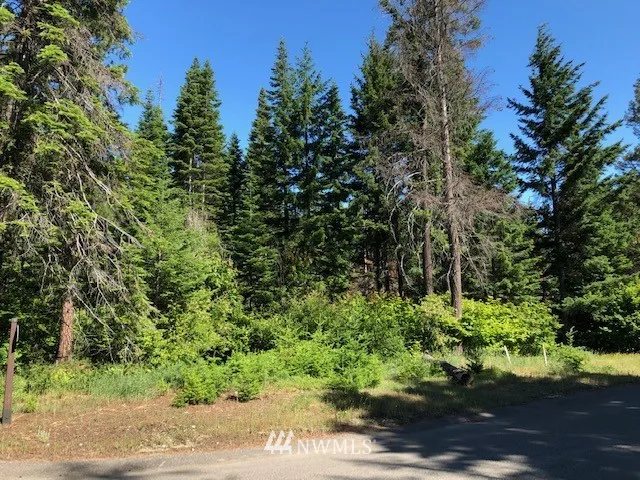 Bring your dream home vision to a reality, on the Sunny Side of the Cascades!