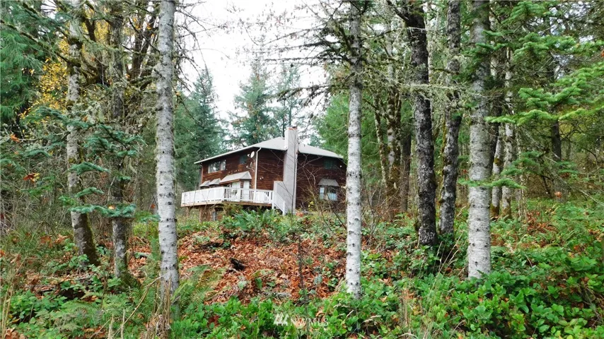 It's like living in a tree house!