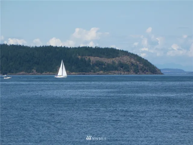 Tons of great sailors that live on Guemes Island ply these waters....huge sailing in the right wind over into the Bellingham Bay past Jack Island. All sorts of boats.  Crabbers, fishermen, rowboats.  And you can row to Jack Island here, it's only 9/10 of a mile away.