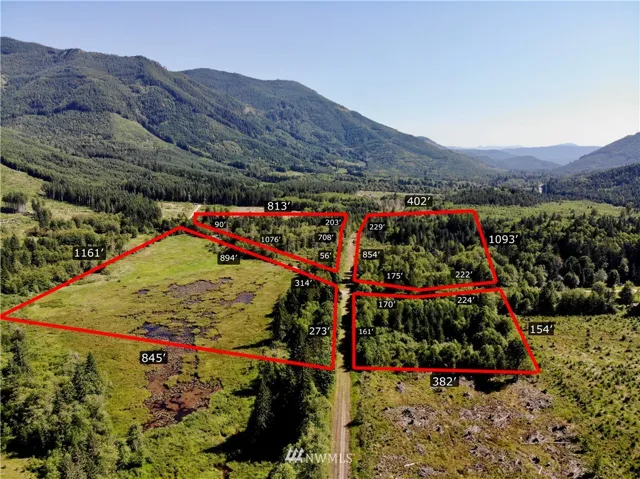Overhead view look south with approximate dimensions and boundaries. One Tax ID parcel delineated by timber company easement and railroad easement.