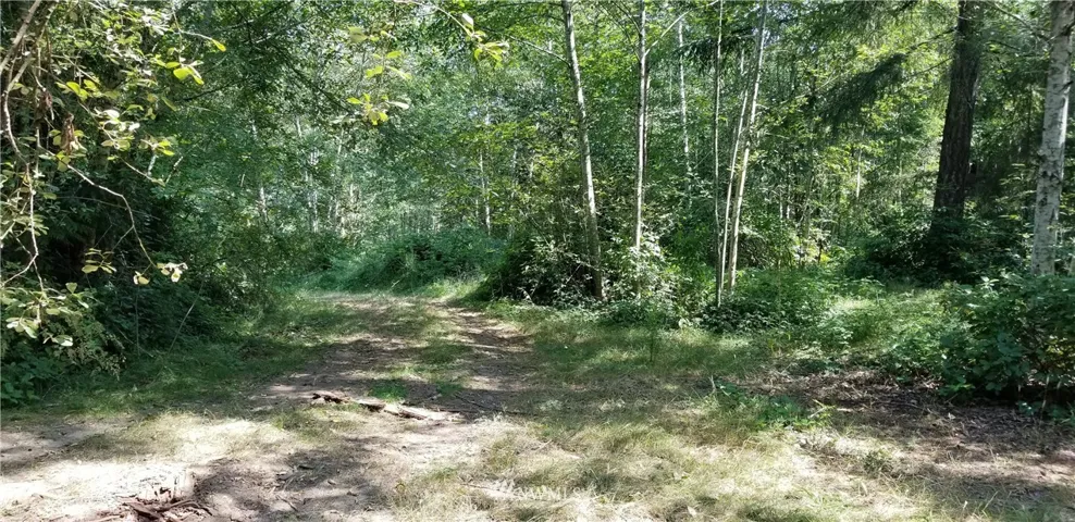 Welcome! Just onto property after crossing short access easement